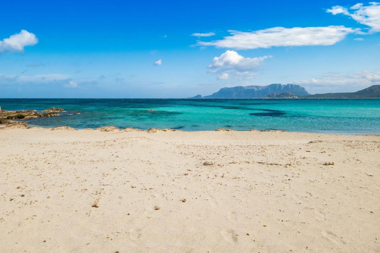 Le Dimore Di Nettuno Olbia Exterior photo